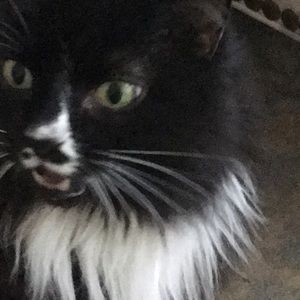 Meet your Posher, Darlene